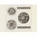 Print - Livre de fleurs propres pour Orfévres et Graveurs 