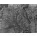 Tapestry - Falconry Tapestry - Falconry