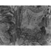 Tapestry - Falconry Tapestry - Falconry
