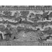Table carpet - Bradford Table Carpet
