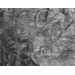 Tapestry - The Devonshire Hunting Tapestries; Swan and Otter Hunt