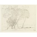 On the Severn (Drawing)