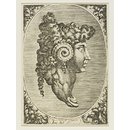 Archimboldesque head (Print)