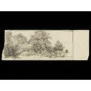 Forest scene (Drawing)