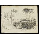 A figure and vegetation (Drawing)