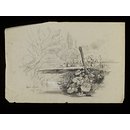 Near Chester (Drawing)