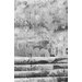 Dress fabric