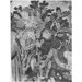 Tapestry - The Devonshire Hunting Tapestries; Swan and Otter Hunt