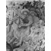 Tapestry - The Devonshire Hunting Tapestries; Swan and Otter Hunt
