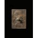 Plaquette - Richard Phene Spiers Plaquette - Richard Phene Spiers