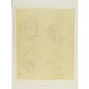 Design (Drawing)
