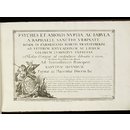 'Psyches et Amoris Nuptiæ ac Fabula a Raphaele,' &c. (Print)