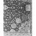 Carpet - The Ardabil Carpet