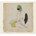 Painting - A Sikh sardar