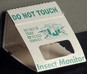 Insect monitor