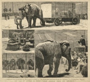 Newspaper article showing the auctioning of Myer's Circus, around 1887, steel engraving printed on newsprint, Museum no. PK 176/1539