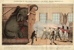 Destruction of the Noble Elephant, after 1826, hand-coloured print