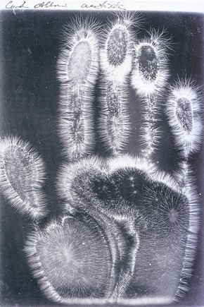 'Electrograph of a hand', from "Im Reich Der Phantome" by Andreas Fischer, St. Petersburg, Russia, about 1997. Museum no. NAL NC980081