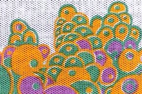 Dress fabric, Celia Birtwell, 1966. Museum no. T.230A-1988