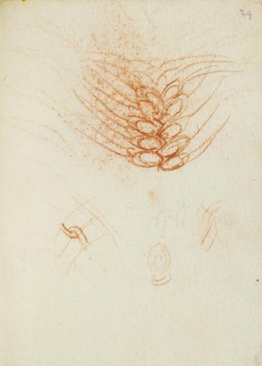 Leonardo da Vinci, Forster Codex, Volume II, 29r, 1495. Museum no. F.141 Volume II R29 (Forster)