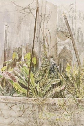 Maurice Sheppard, watercolour, 1984. Museum no. E.499-2009