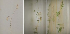 Rooted in Time and Motion, Heather Barnett