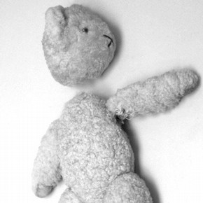 Figure 2a