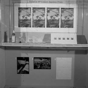 Figure 3. Display of 'Autumn in the V