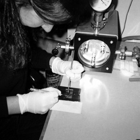 Figure 1. Preparing samples for PyGCMS.