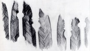Drawing of stems by Rifat Afzal, Year 11, Walthamstow School for Girls