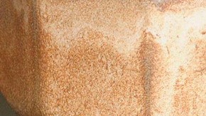 2923-large.jpg