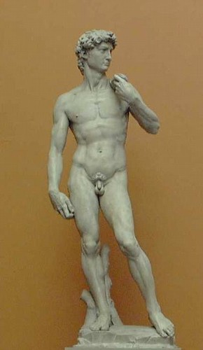 'David', plaster cast, Michelangelo, 1501-4. Museum no. REPRO.1857-161