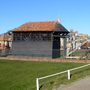 Treadwheel crane