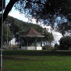 Evergreen oaks of Cliff Park