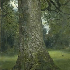 Figure 9. 'Study of the trunk of an elm tree' by John Constable (RA), about 1821, Museum no. 786-1888