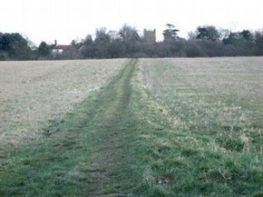 View of Wormingford Church, Essex