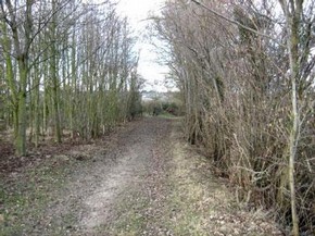 View of a walk around Wormingford