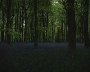 Chrystel Lebas, Film still from 'Blue Bell film', © Chrystel Lebas