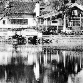 29784-large.jpg
