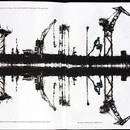30962-large.jpg