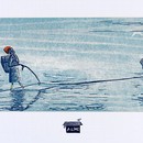 31065-large.jpg