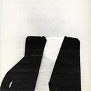 31256-large.jpg