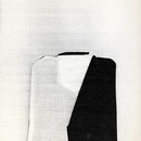 31257-large.jpg