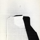 31258-large.jpg