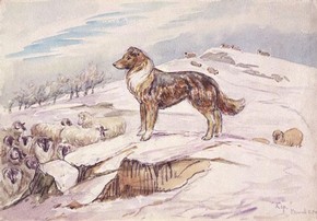Beatrix Potter, ‘Sketch of Kep guarding sheep’ © Frederick Warne