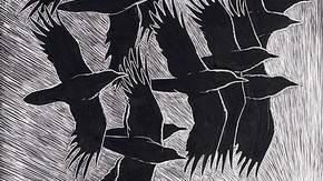 Tony Angell. Artwork to In the Company of Crows and Ravens, scraperboard. Authors John M. Marzluff and Tony Angell. Published by Yale University Press, New Haven and London, 2005.