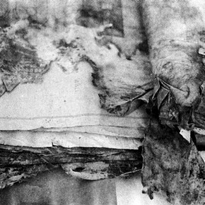 Figure 2. Mould damages edge of one roll end.