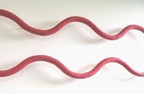 Tubular Amoeba, Harriet Hill, 2004