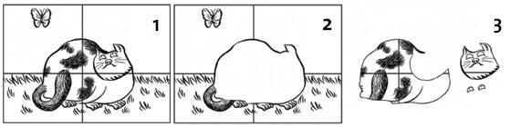 37007-large.jpg