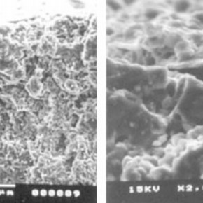 Figure 1. Surface of earthenware tile before the application of Laponire RD gel